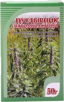 Пустырник посадка и уход Пустырник посадка и уход